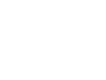 Velocis Core logo